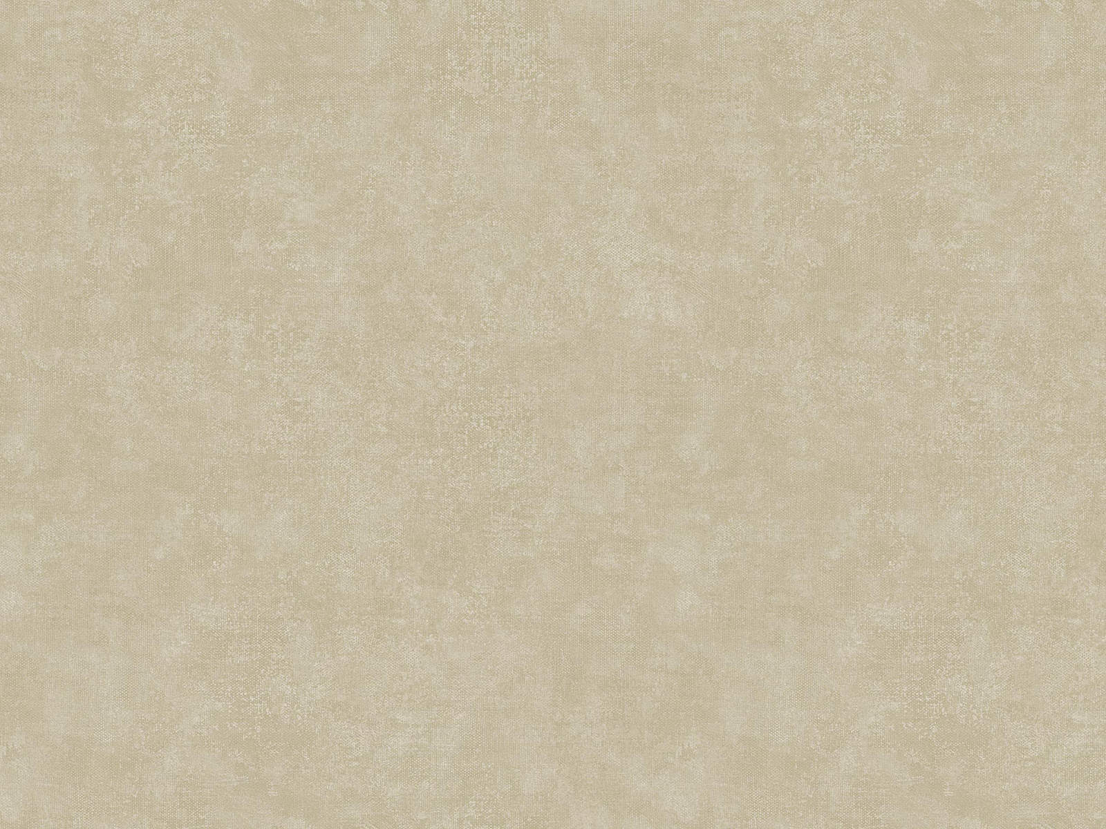 HookedOnWalls Academy Unito Airone - 25665