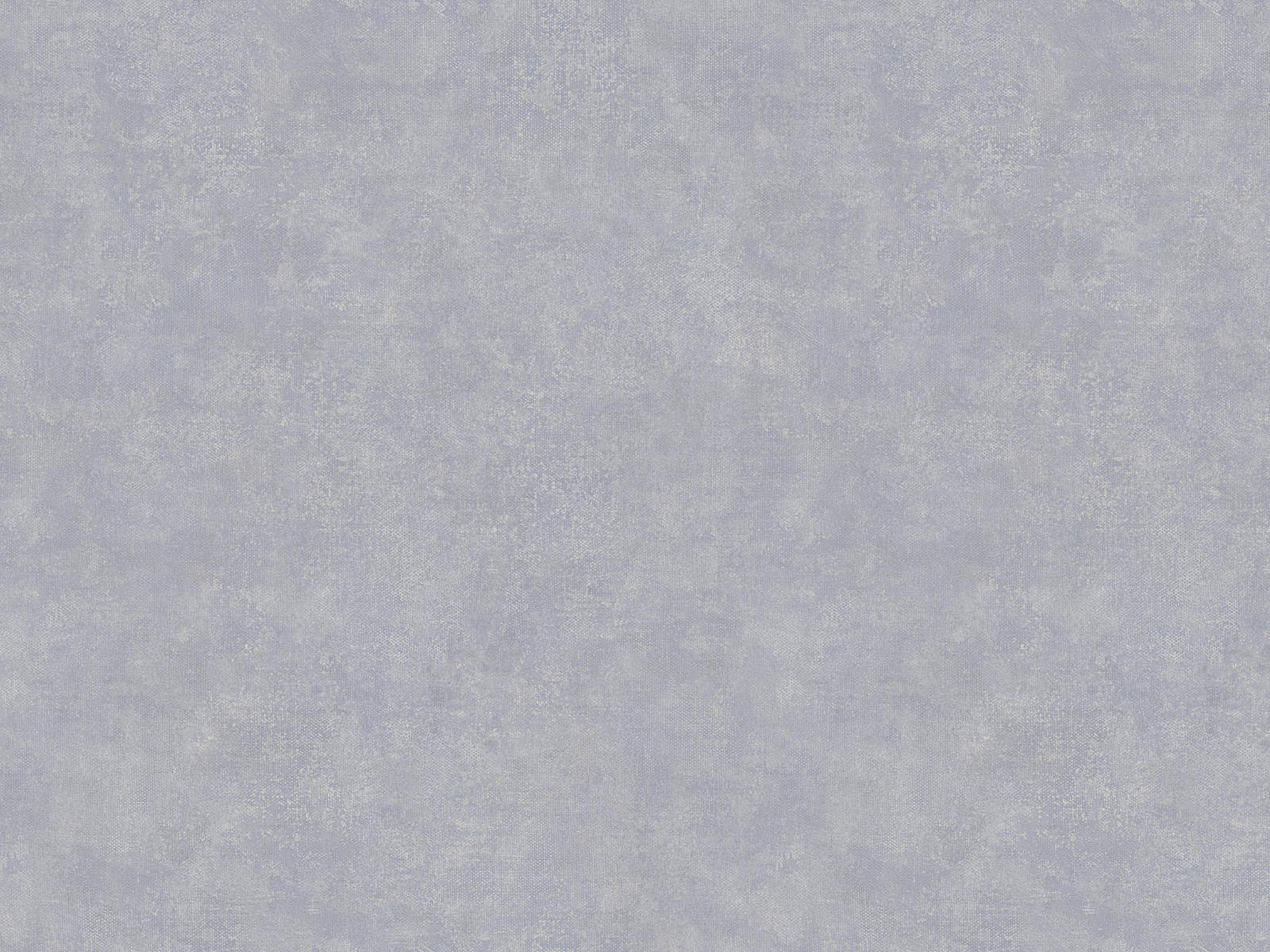 HookedOnWalls Academy Unito Airone - 25666