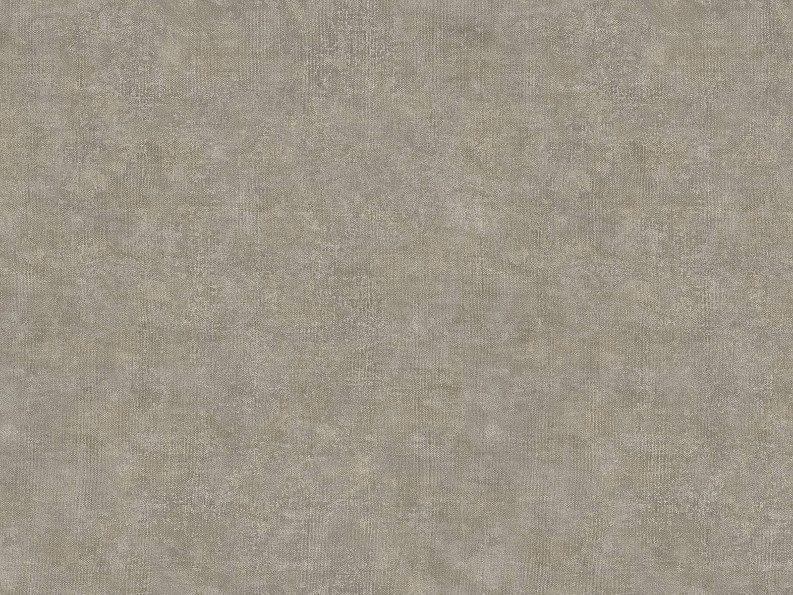 HookedOnWalls Academy Unito Airone - 25669