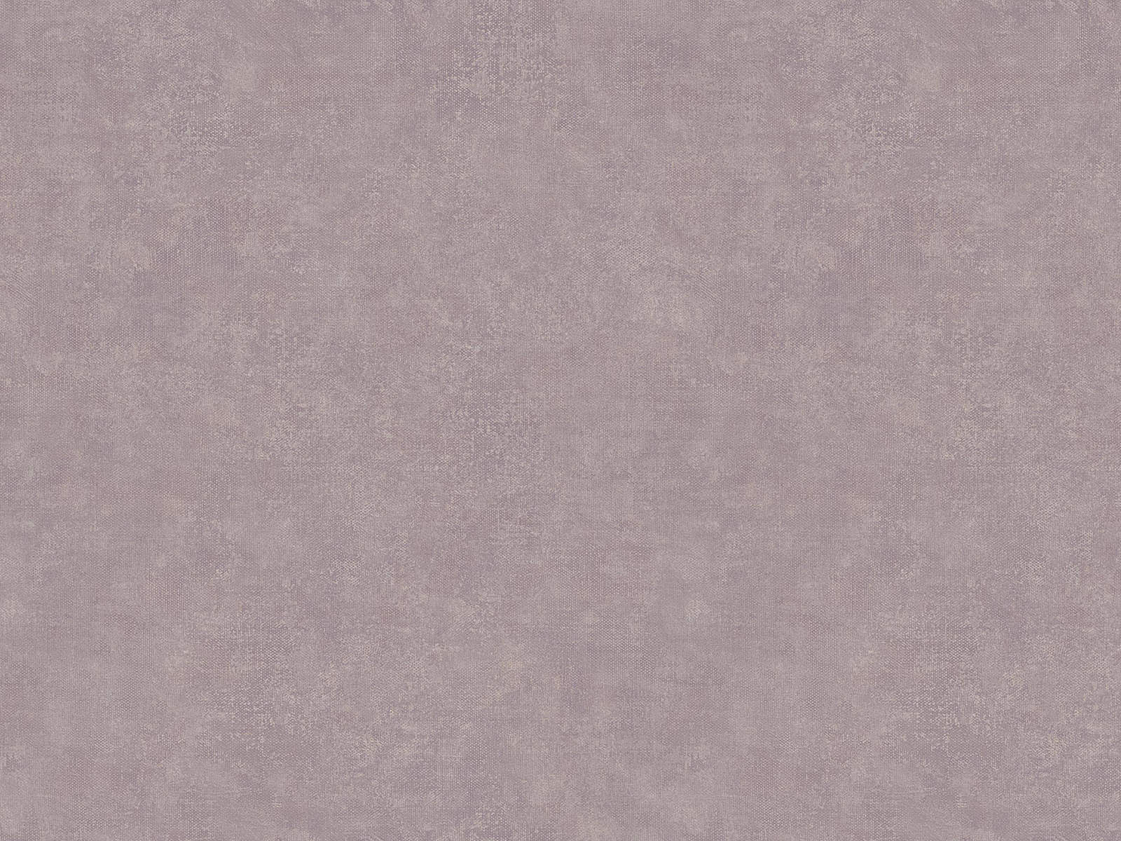 HookedOnWalls Academy Unito Airone - 25670