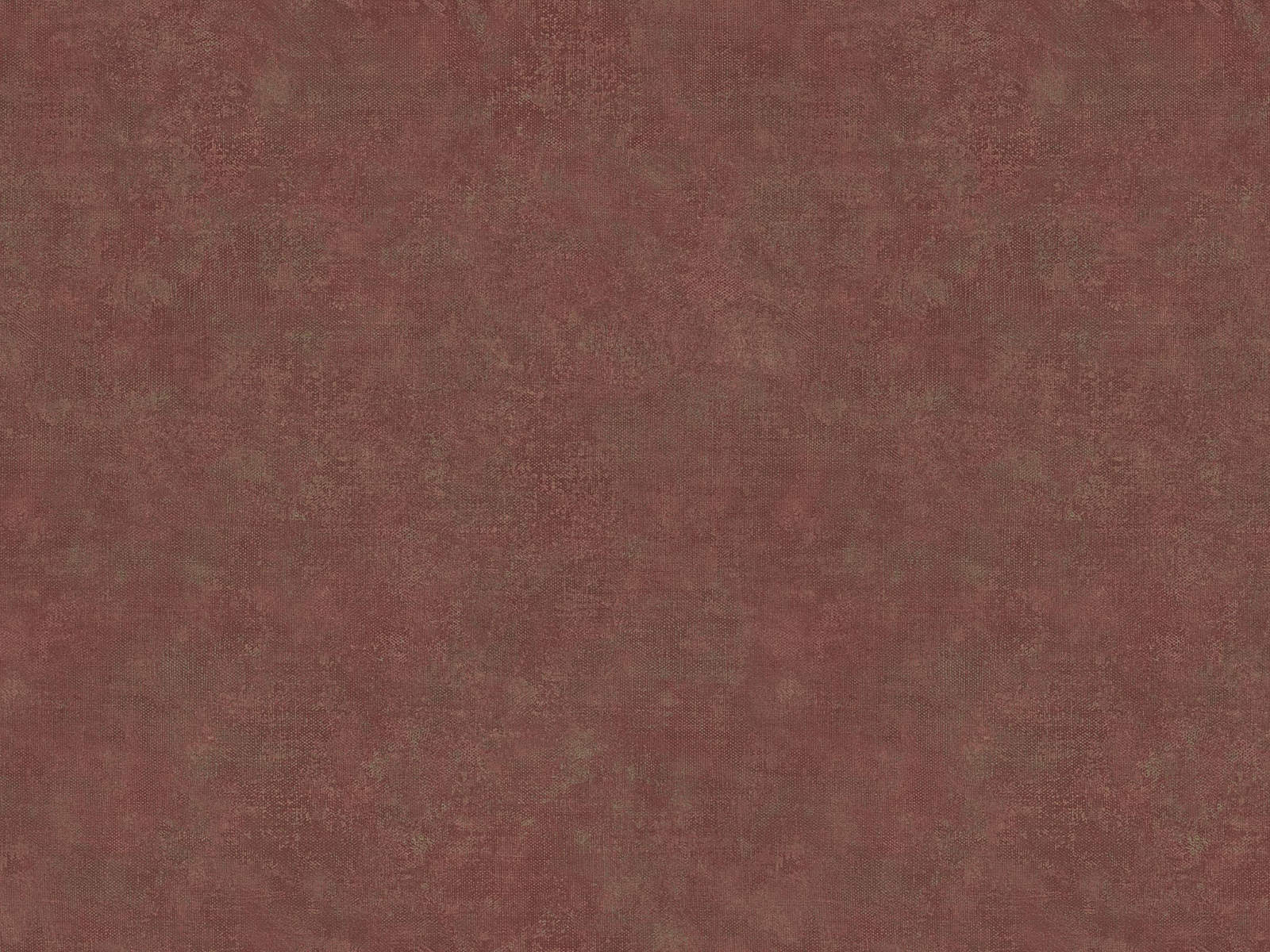 HookedOnWalls Academy Unito Airone - 25671