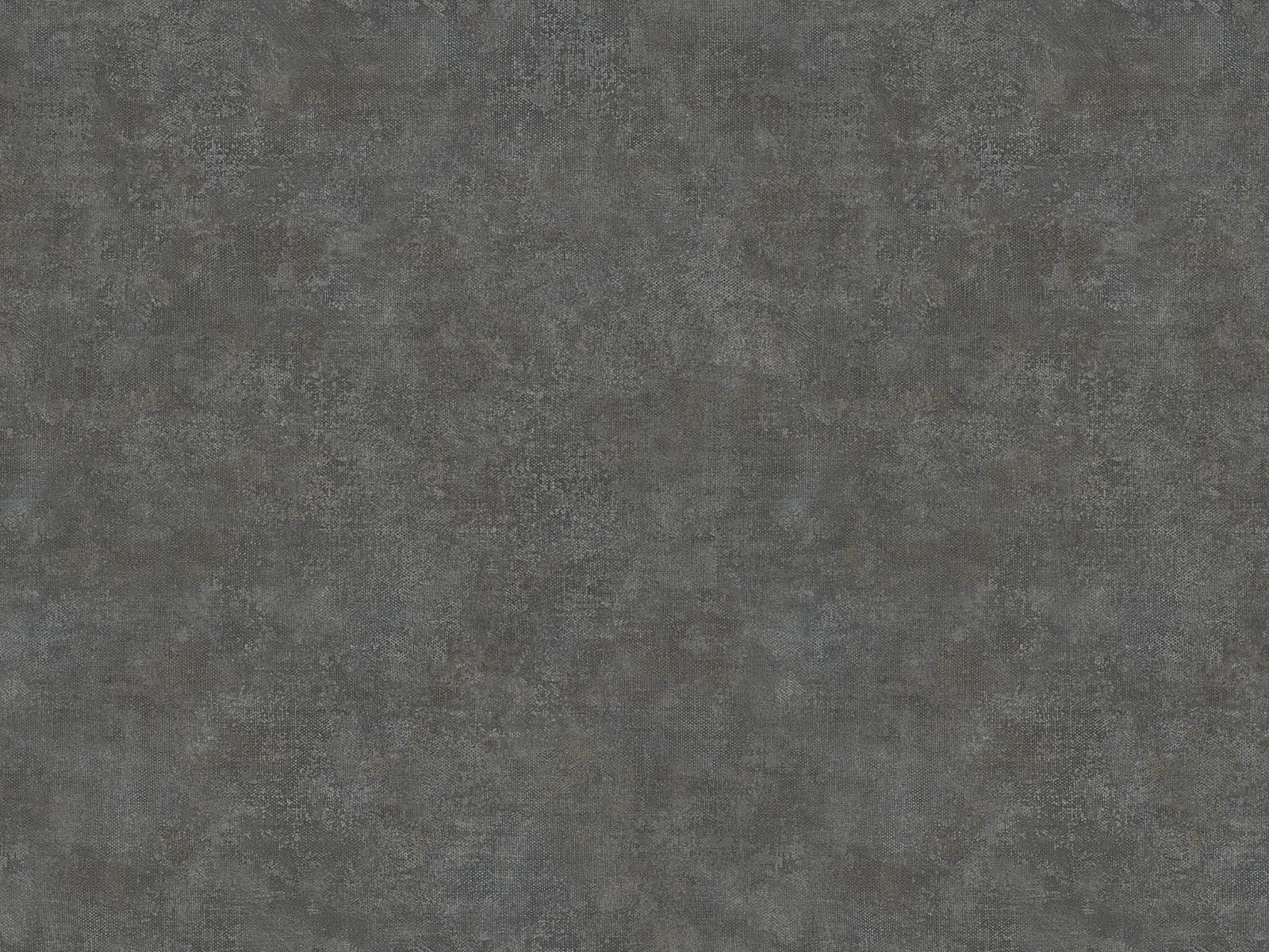 HookedOnWalls Academy Unito Airone - 25672