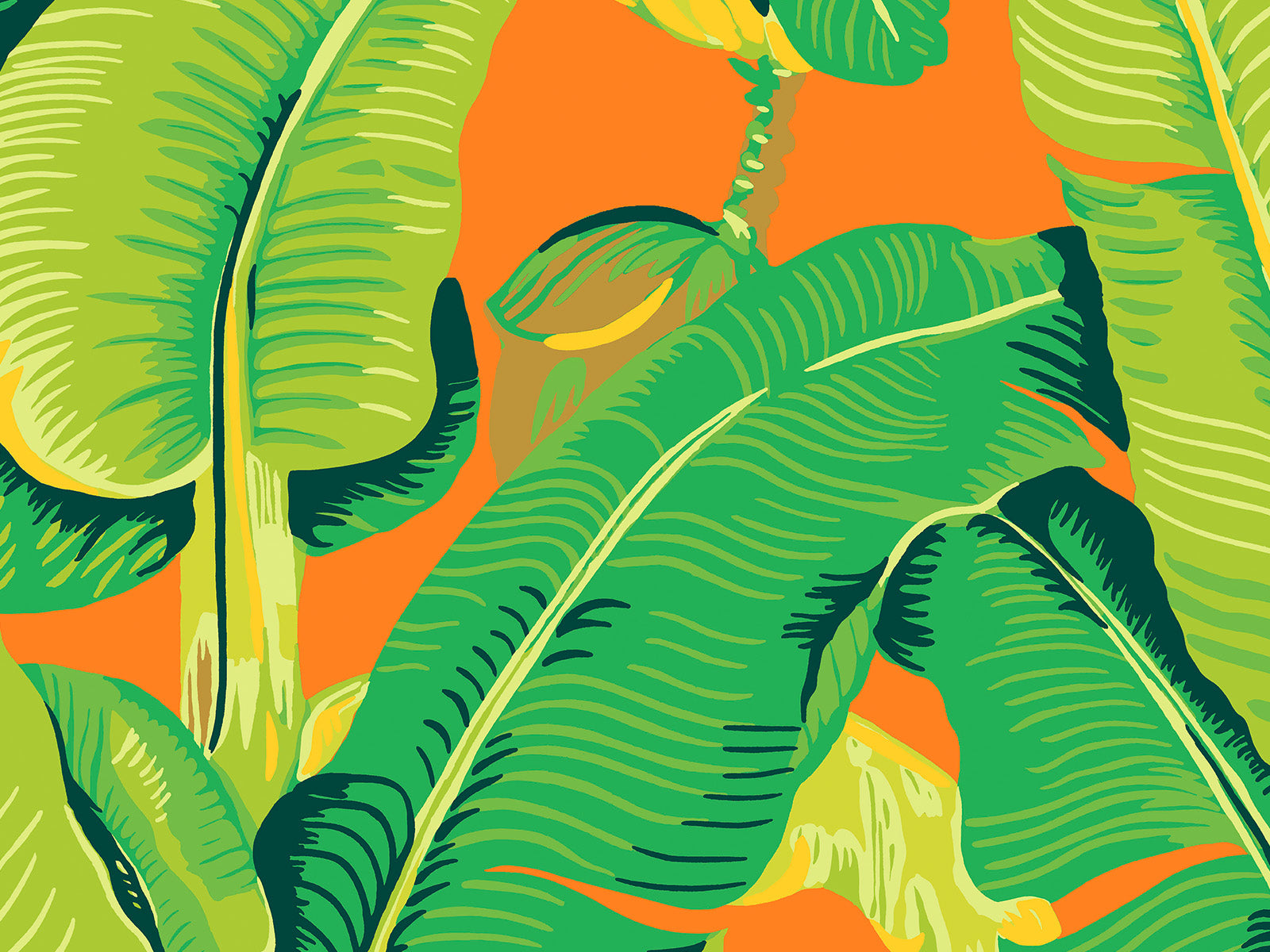 Hookedonwalls Scalamandré Hinson Palm - 26012