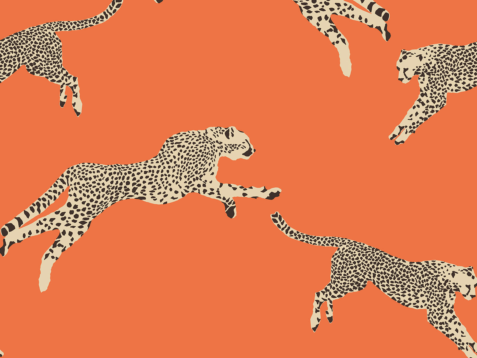 Hookedonwalls Scalamandré Leaping Cheetaj - 26017