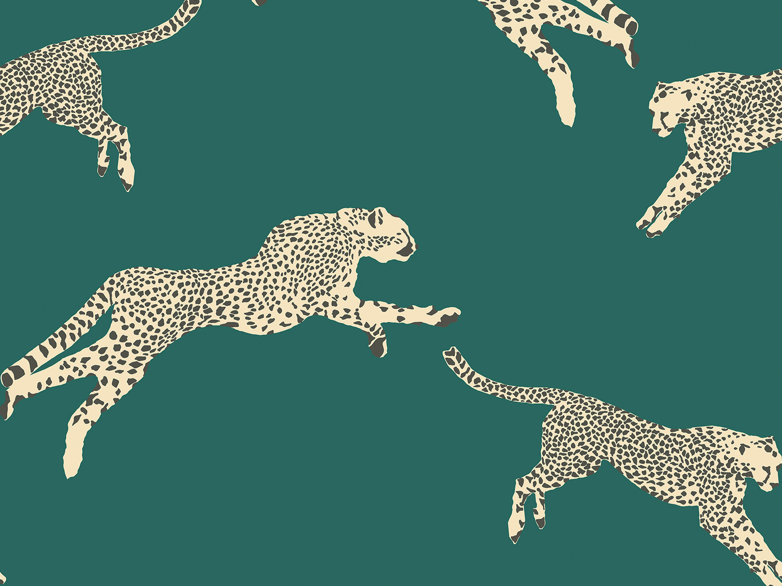 Hookedonwalls Scalamandré Leaping Cheetaj - 26018