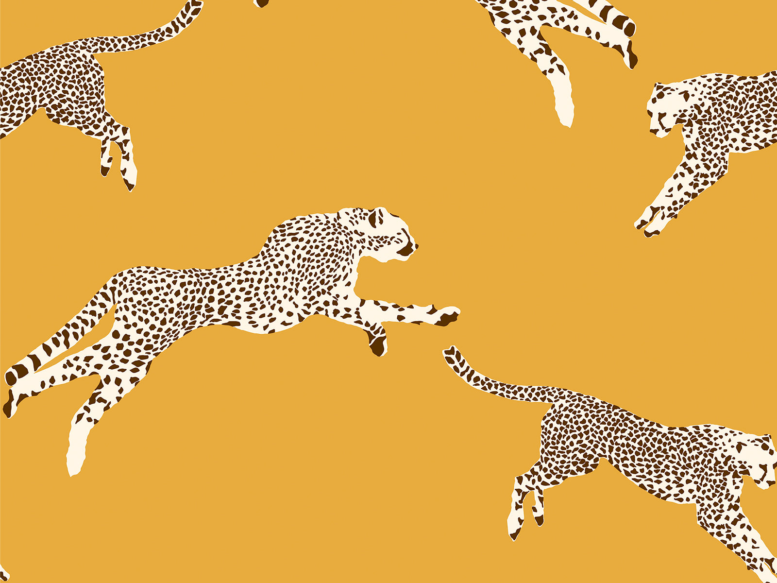 Hookedonwalls Scalamandré Leaping Cheetaj - 26020