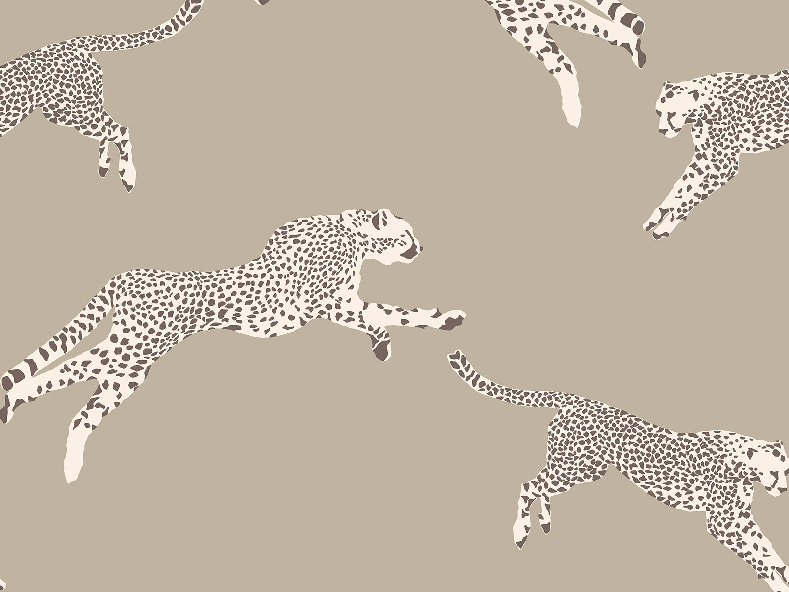 Hookedonwalls Scalamandré Leaping Cheetaj - 26021