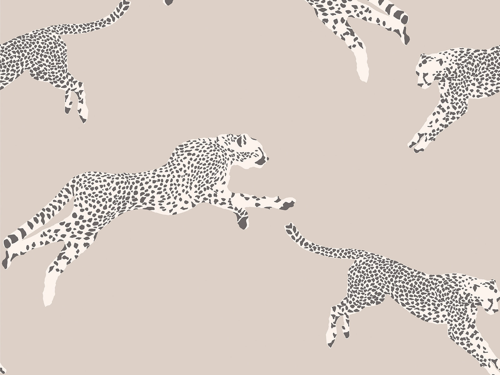 Hookedonwalls Scalamandré Leaping Cheetaj - 26022