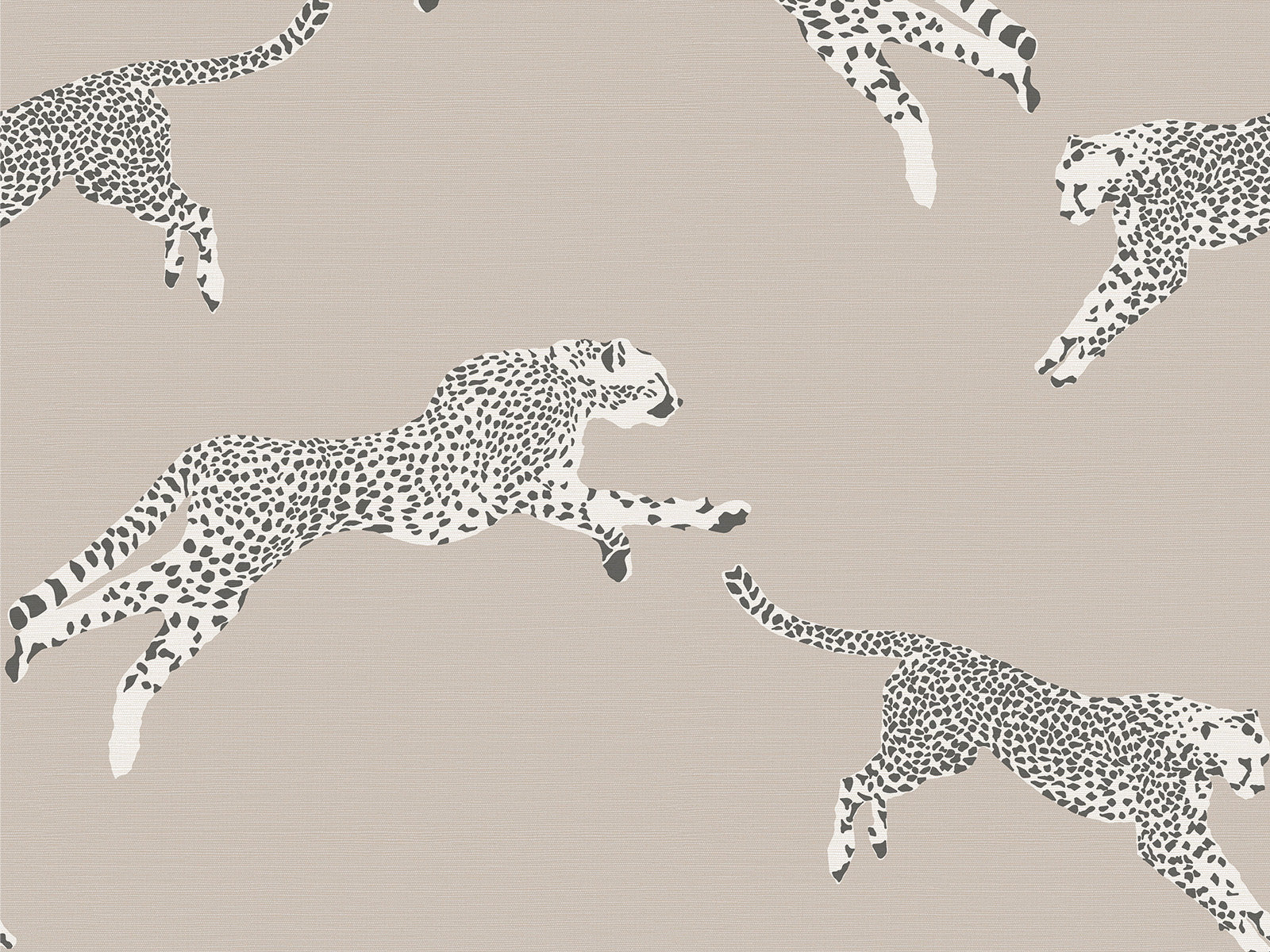 Hookedonwalls Scalamandré Leaping Cheetaj - 26023