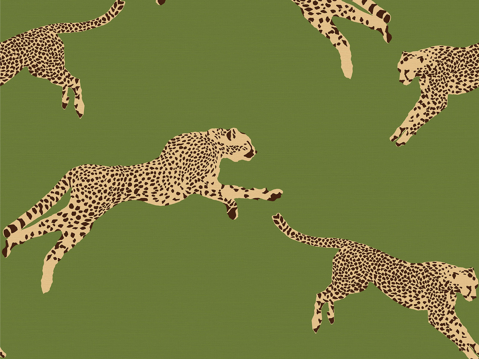 Hookedonwalls Scalamandré Leaping Cheetaj - 26024