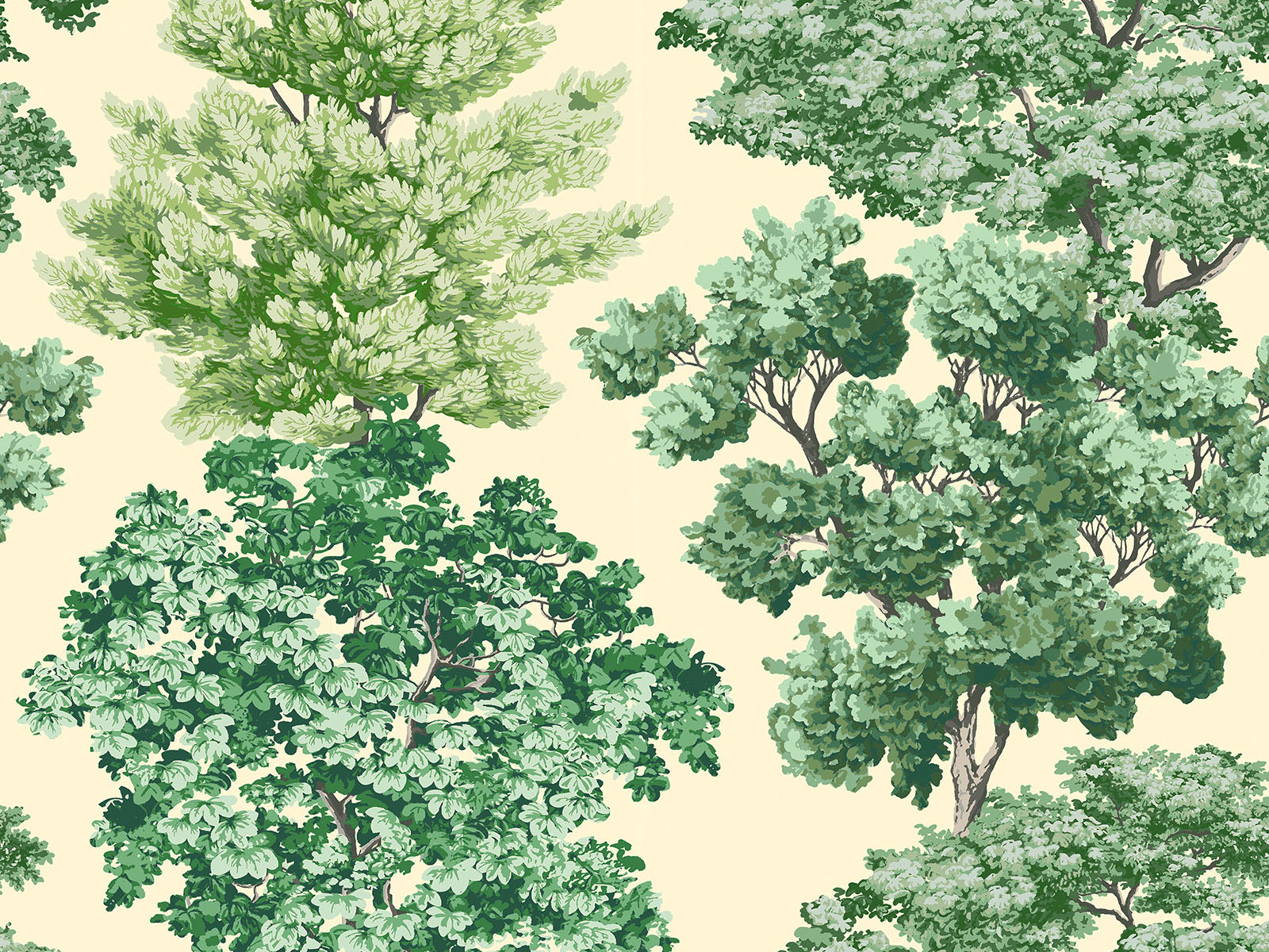 Hookedonwalls Scalamandré Central Park - 26040