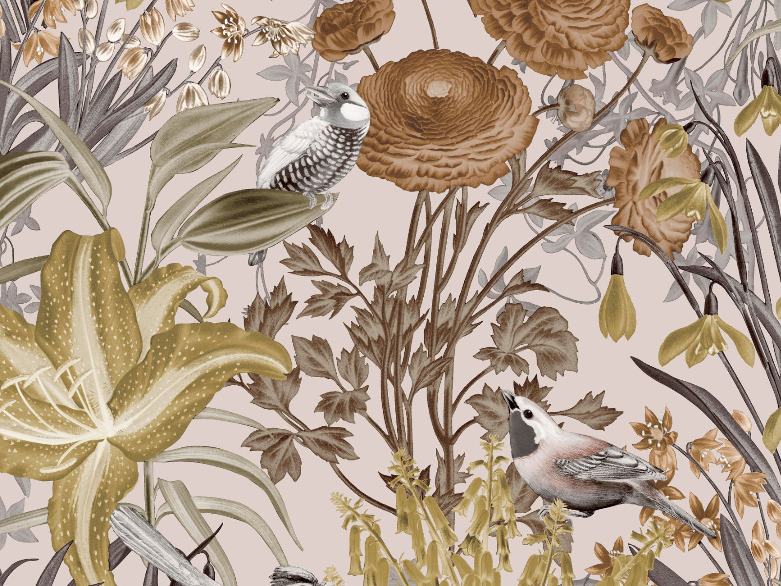 HookedOnWalls Caribbean Moorea - 27211