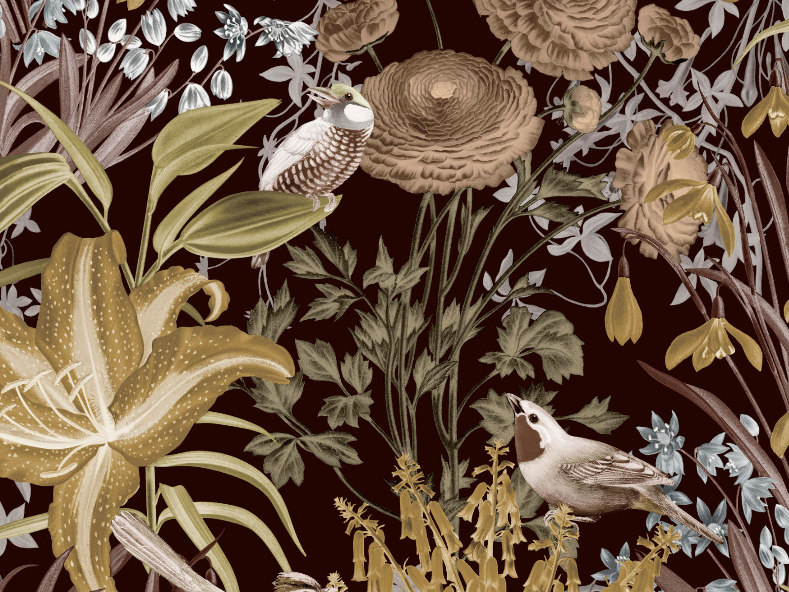 HookedOnWalls Caribbean Moorea - 27212