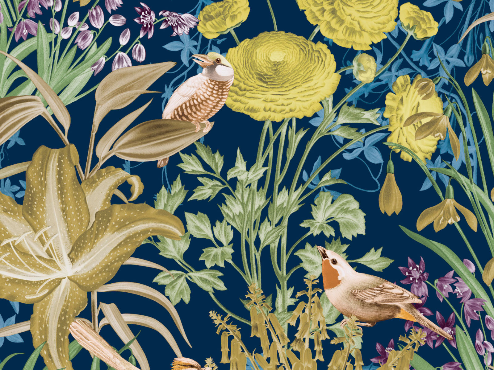 HookedOnWalls Caribbean Moorea - 27213