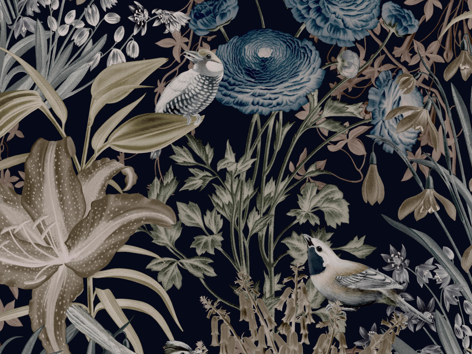 HookedOnWalls Caribbean Moorea - 27214