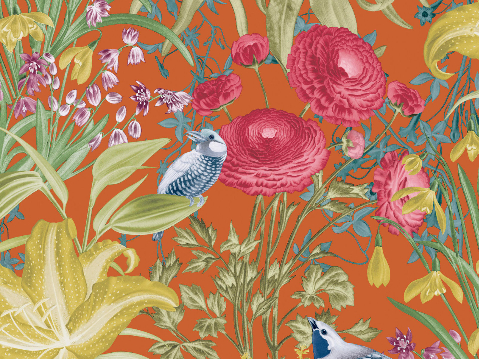 HookedOnWalls Caribbean Moorea - 27215