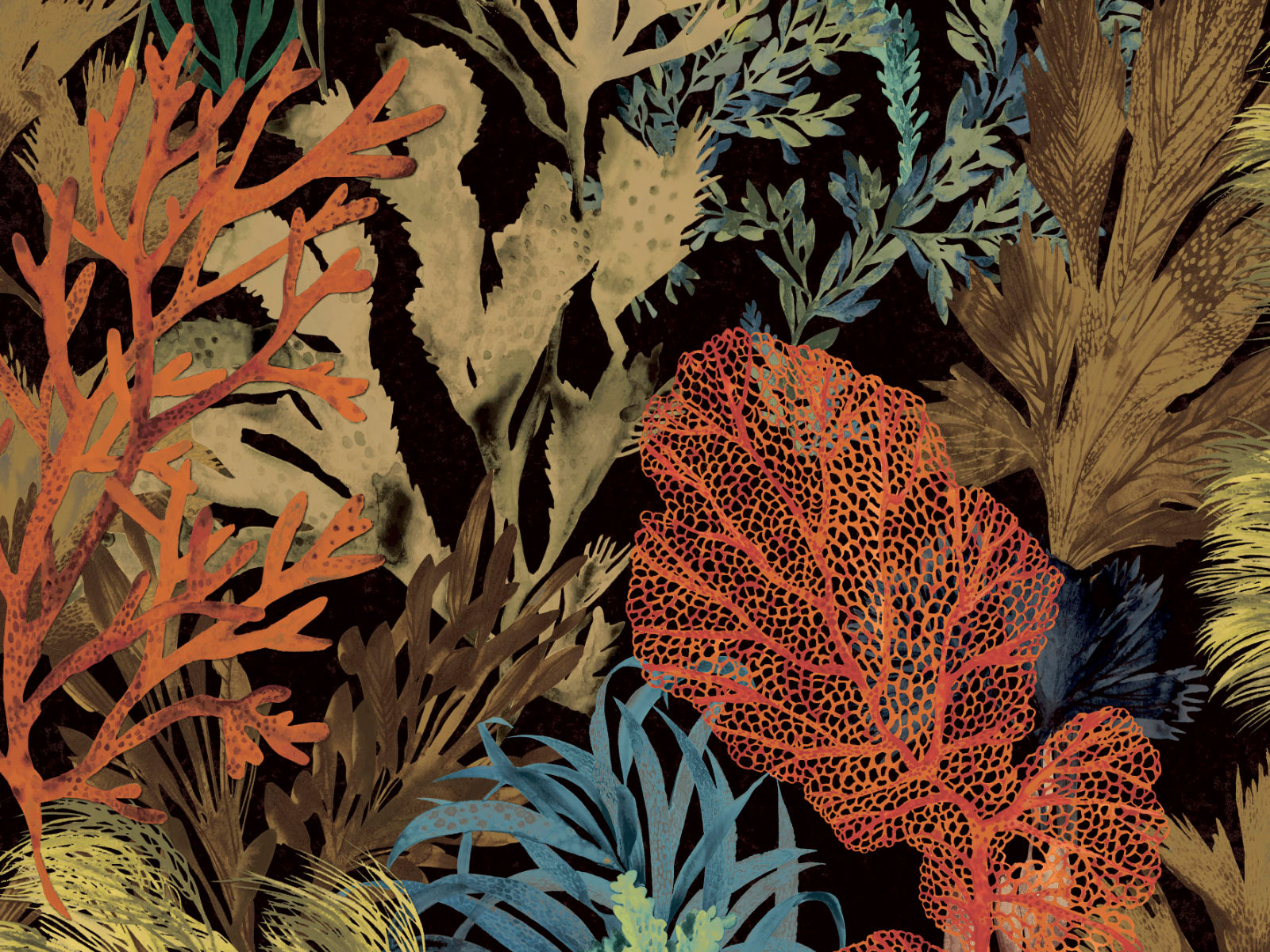 HookedOnWalls Caribbean Bora Bora - 27220