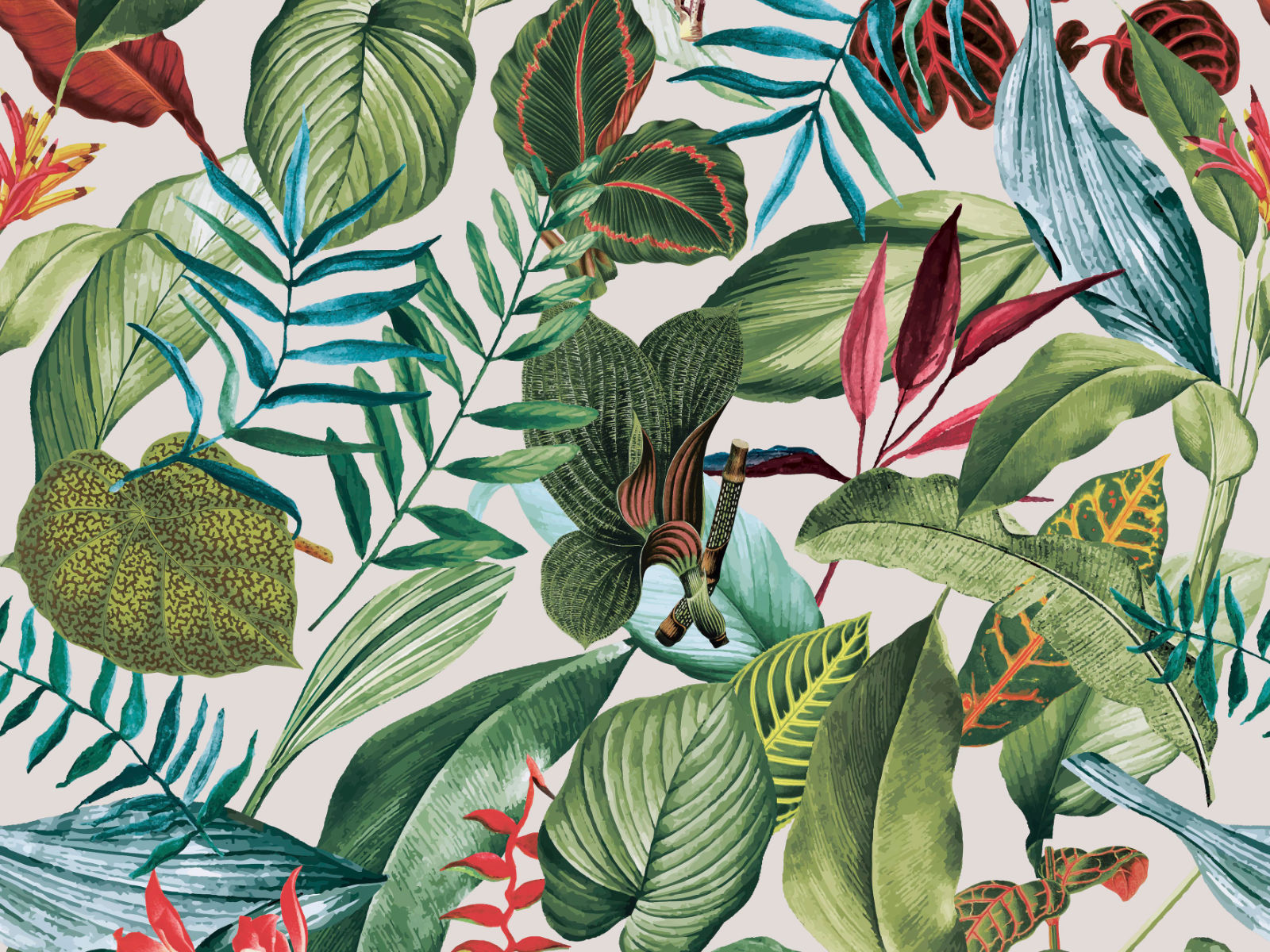 HookedOnWalls Caribbean Kiribati - 27222