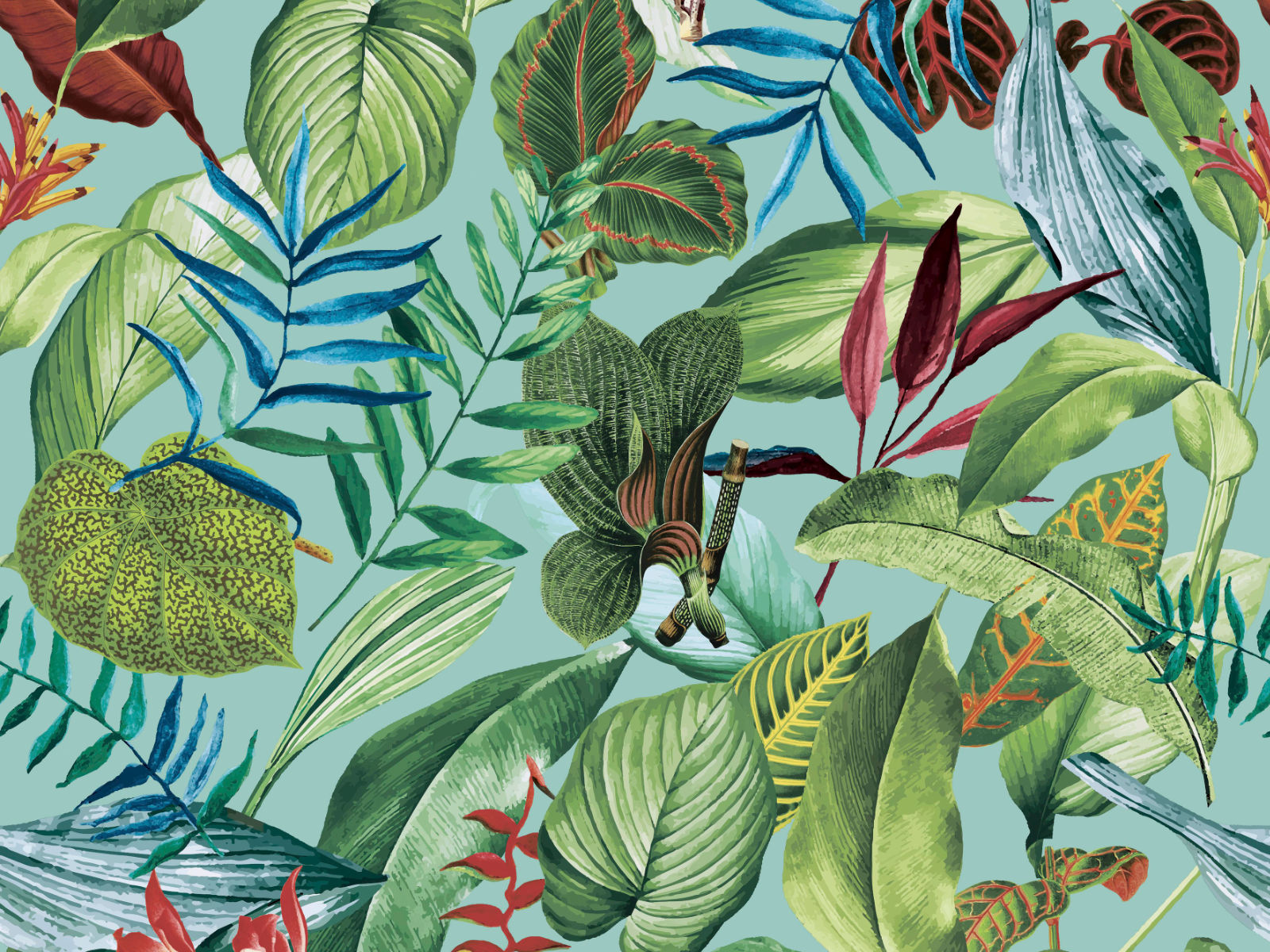 HookedOnWalls Caribbean Kiribati - 27223