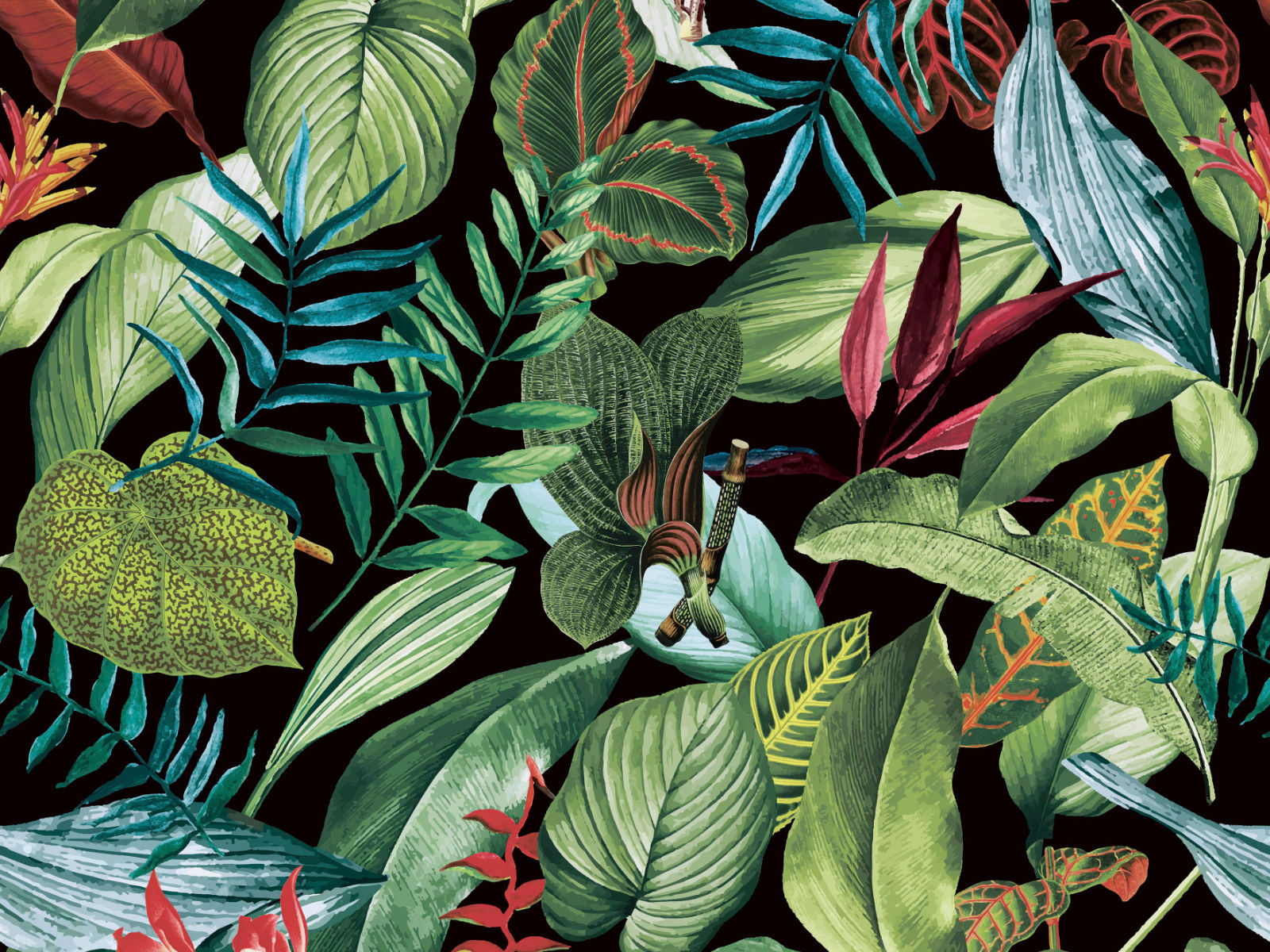 HookedOnWalls Caribbean Kiribati - 27224