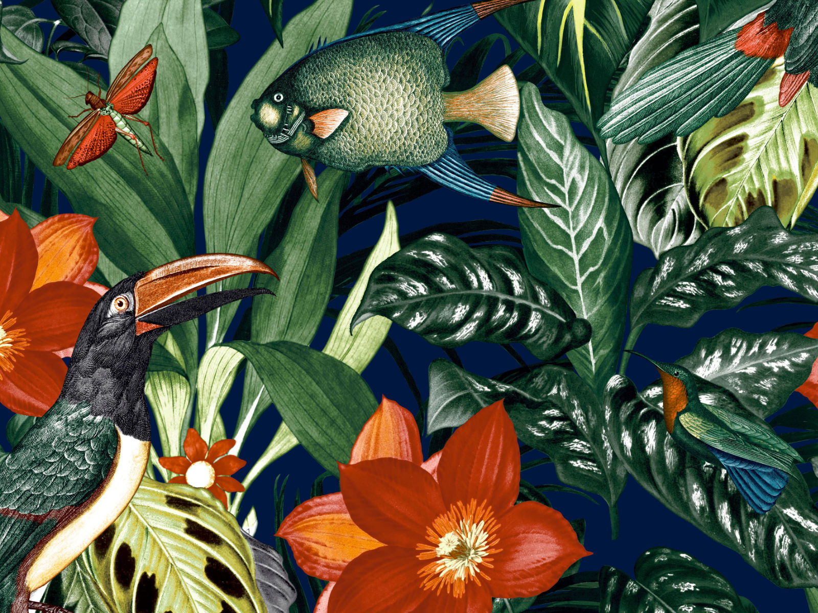 HookedOnWalls Caribbean Palau - 27225