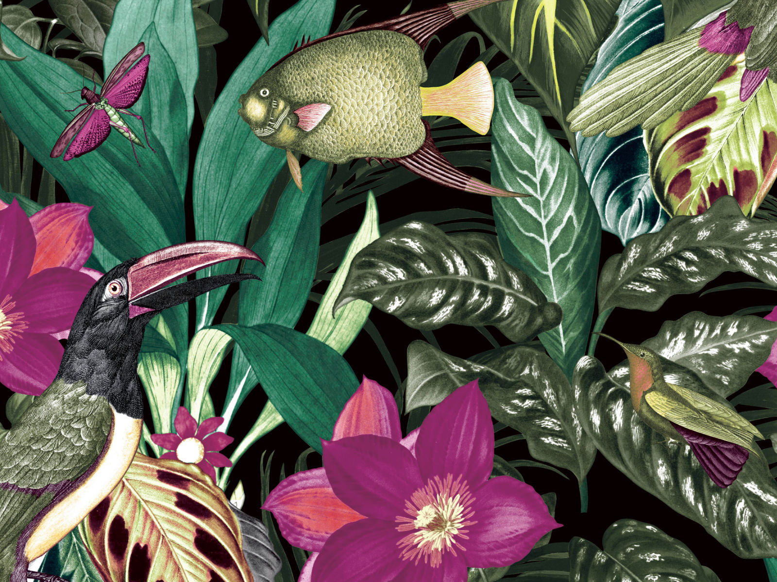 HookedOnWalls Caribbean Palau - 27226