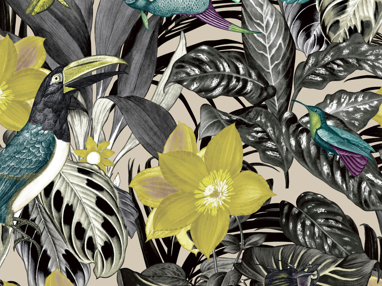 HookedOnWalls Caribbean Palau - 27227