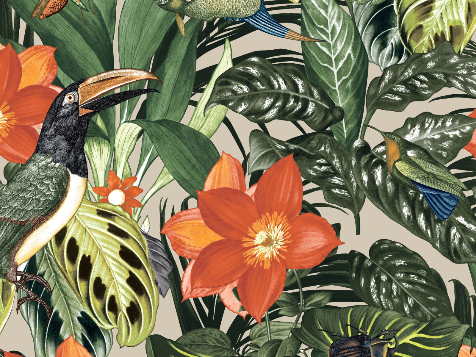 HookedOnWalls Caribbean Palau - 27229