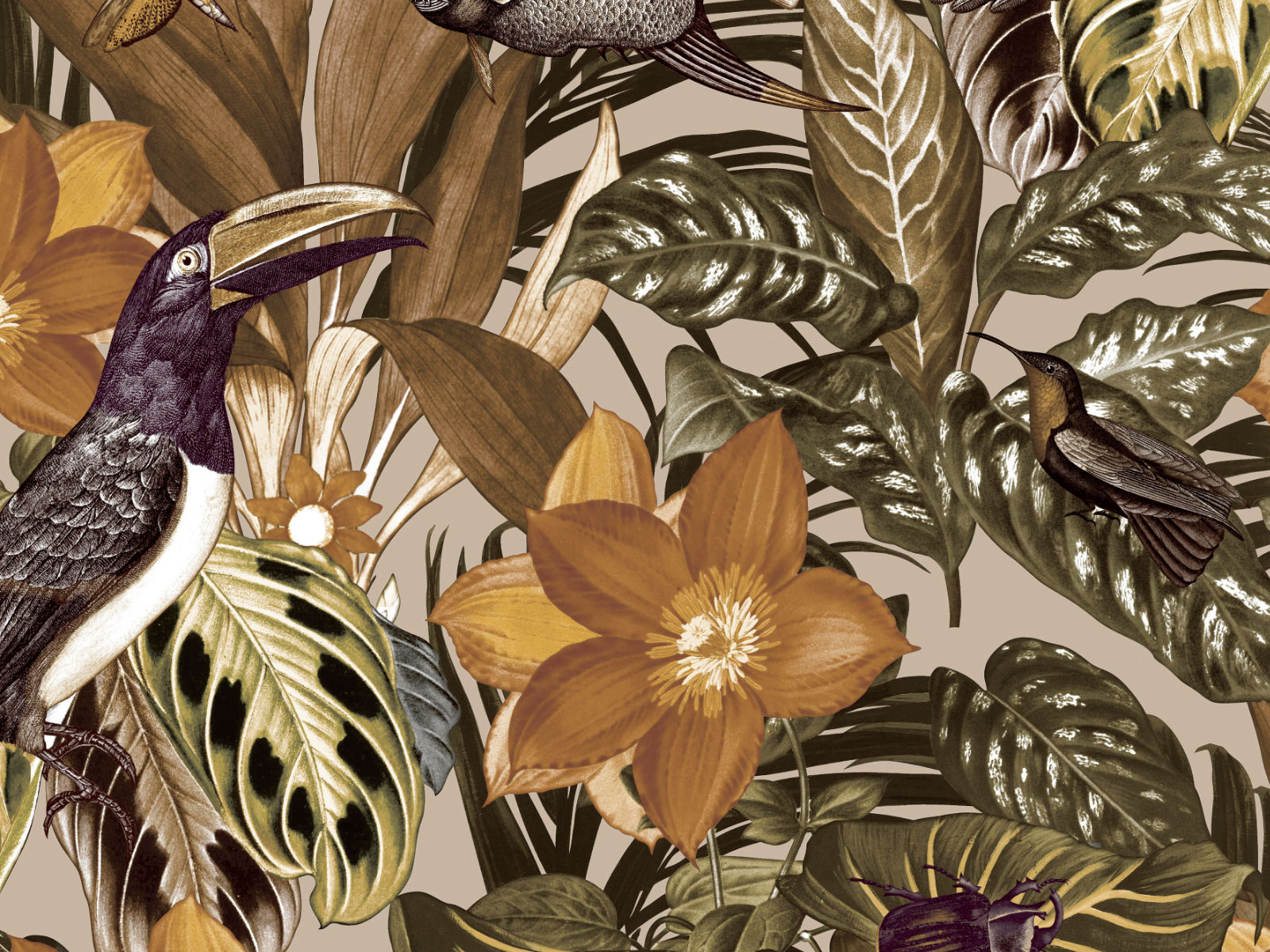 HookedOnWalls Caribbean Palau - 27230