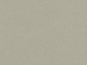 HookedOnWalls Caribbean Plain - 27261