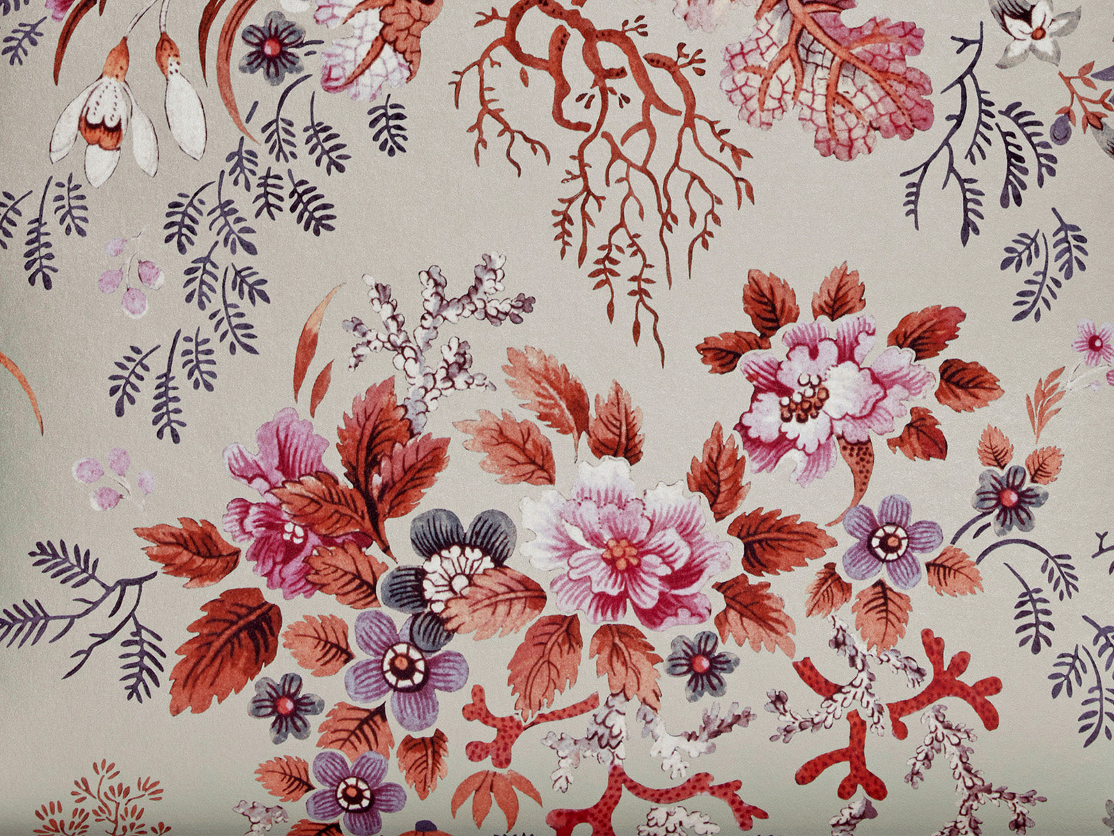 HookedOnWalls Young Traditionals Kilburn's Coral - 27800