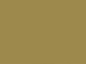 HookedOnWalls Young Traditionals Muro - 27855