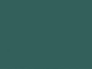 HookedOnWalls Young Traditionals Muro - 27857