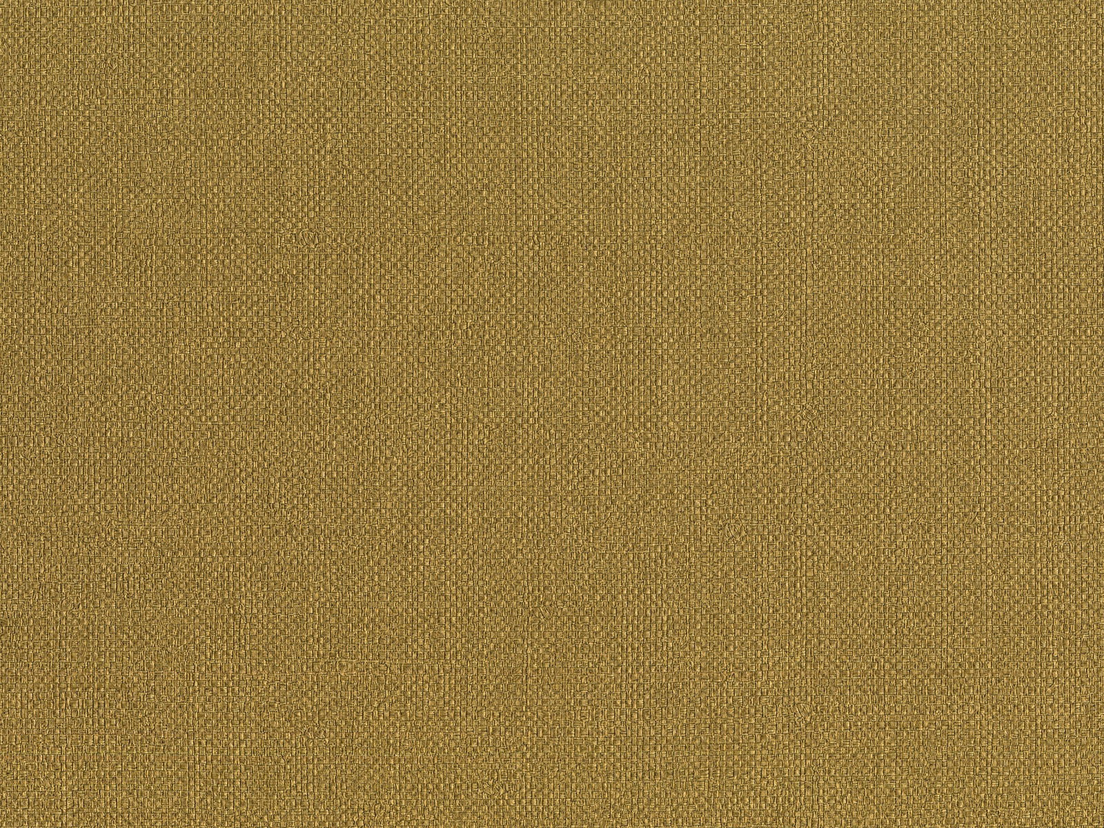 HookedOnWalls Passe Partout Colour Vibes - 29902