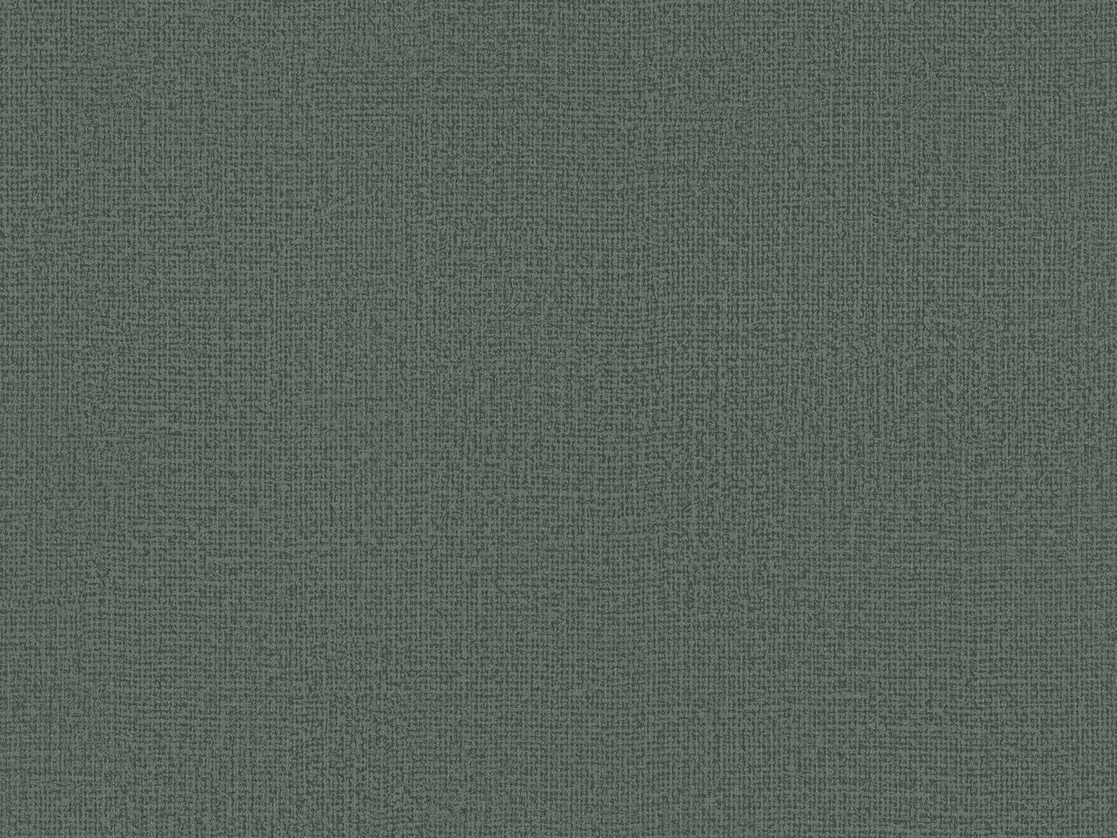 HookedOnWalls Passe Partout Colour Vibes - 29944