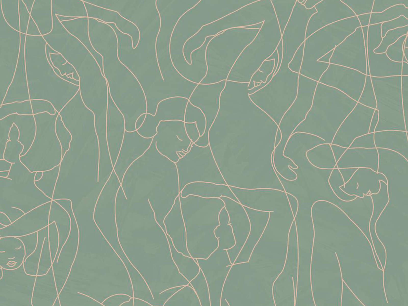 HookedOnWalls Silhouete Model Lines - 34841