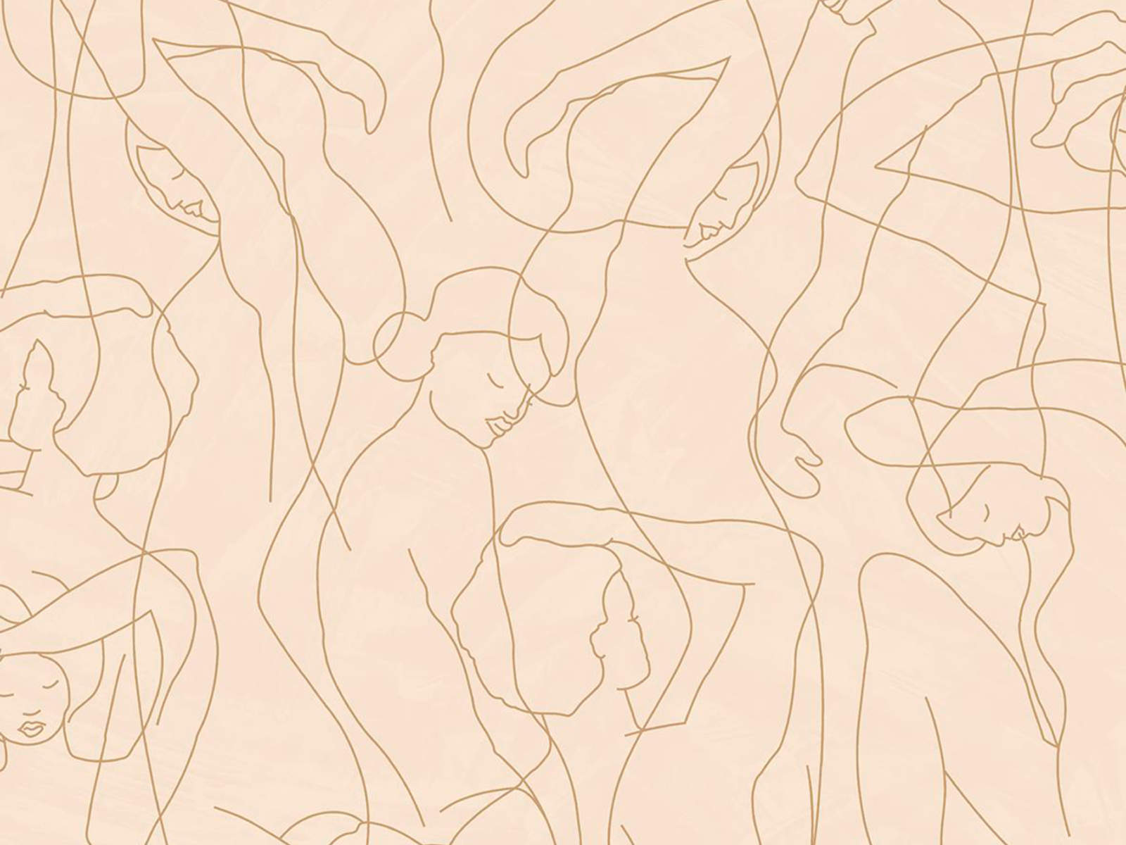 HookedOnWalls Silhouete Model Liens - 34842