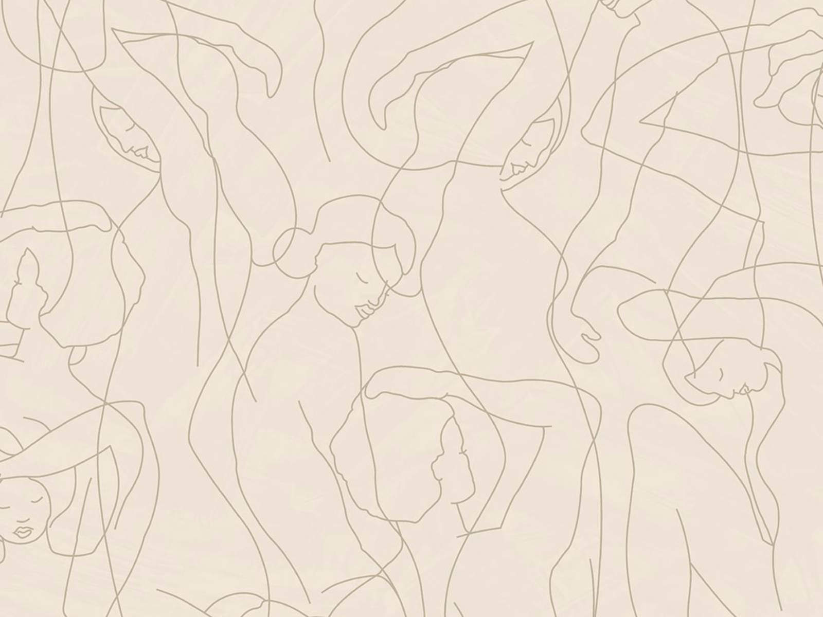 HookedOnWalls Silhouete Model Lines - 34843