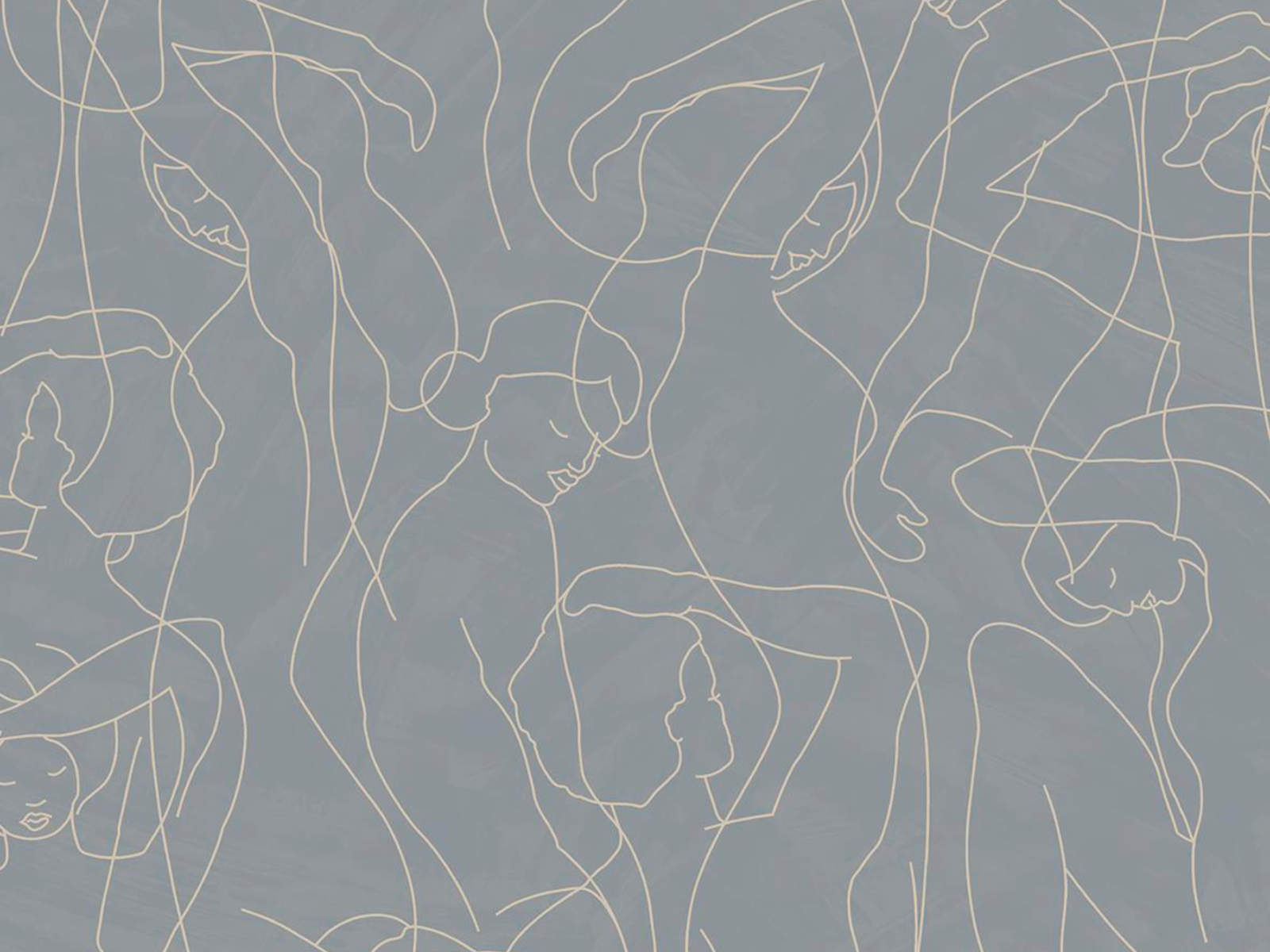 HookedOnWalls Silhouete Model Lines - 34846