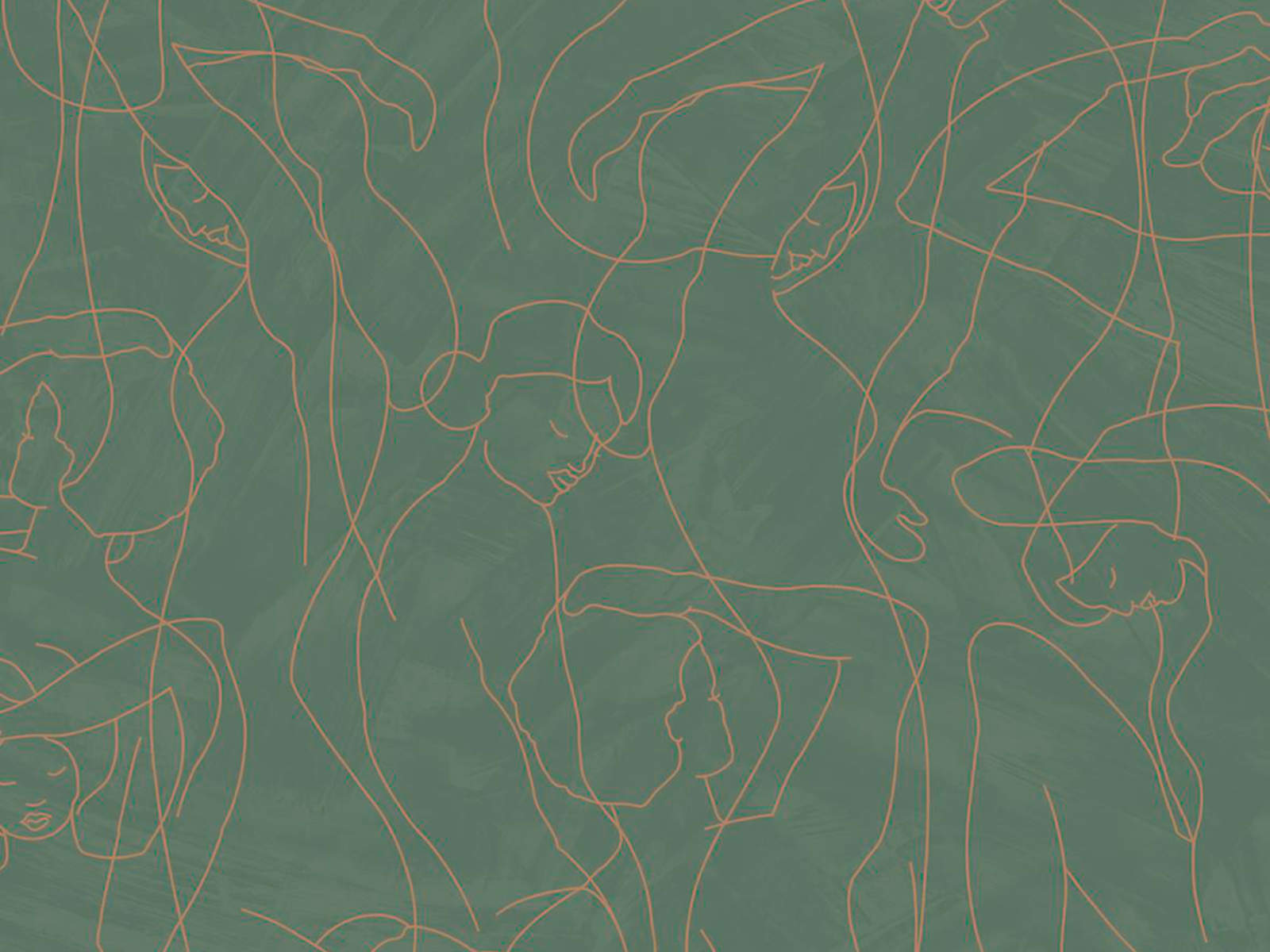 HookedOnWalls Silhouete Model Lines - 34847