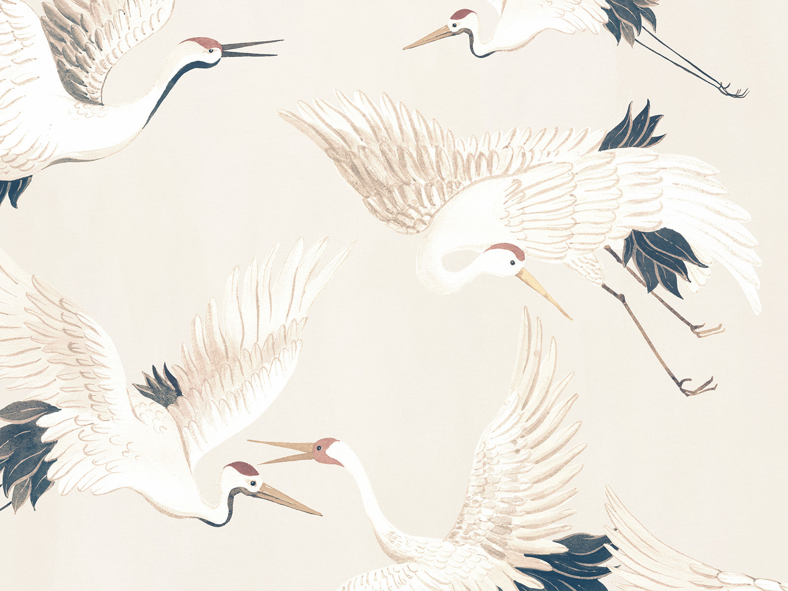 HookedOnWalls Marta Cortese Cranes - 37820