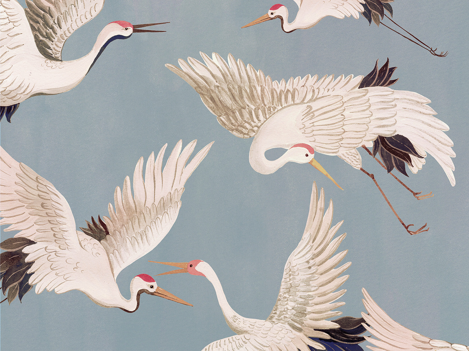 HookedOnWalls Marta Cortese Cranes - 37821