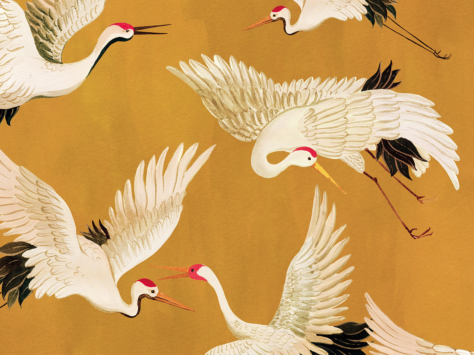 HookedOnWalls Marta Cortese Cranes - 37822