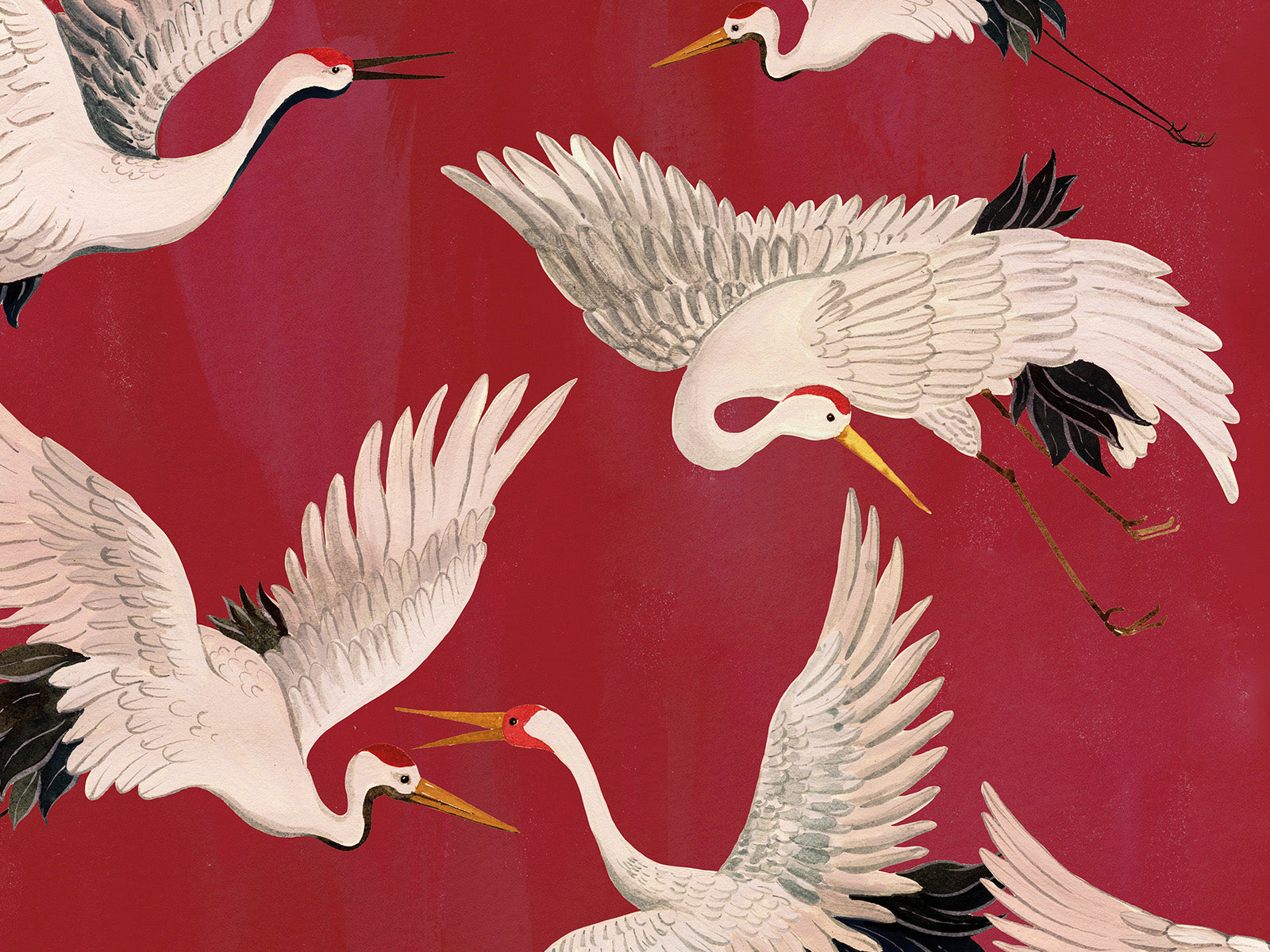 HookedOnWalls Marta Cortese Cranes - 37823