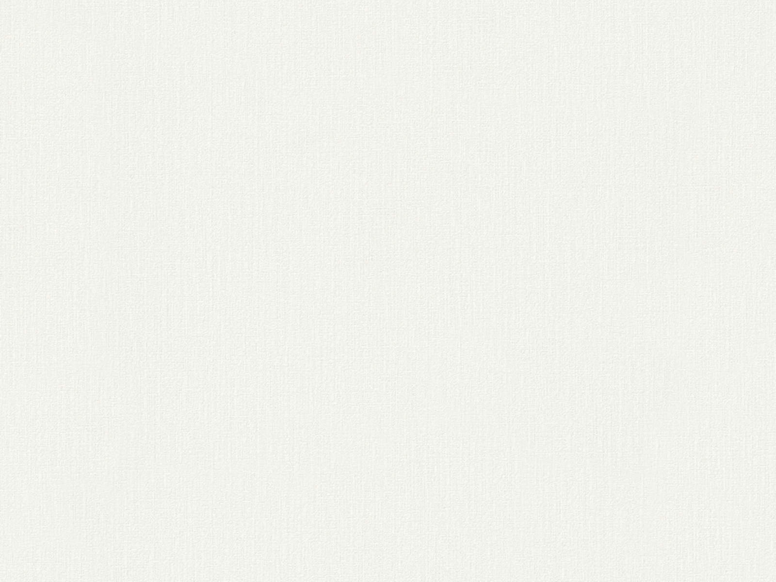 HookedOnWalls Terra Cotta Plain 2 - 42126