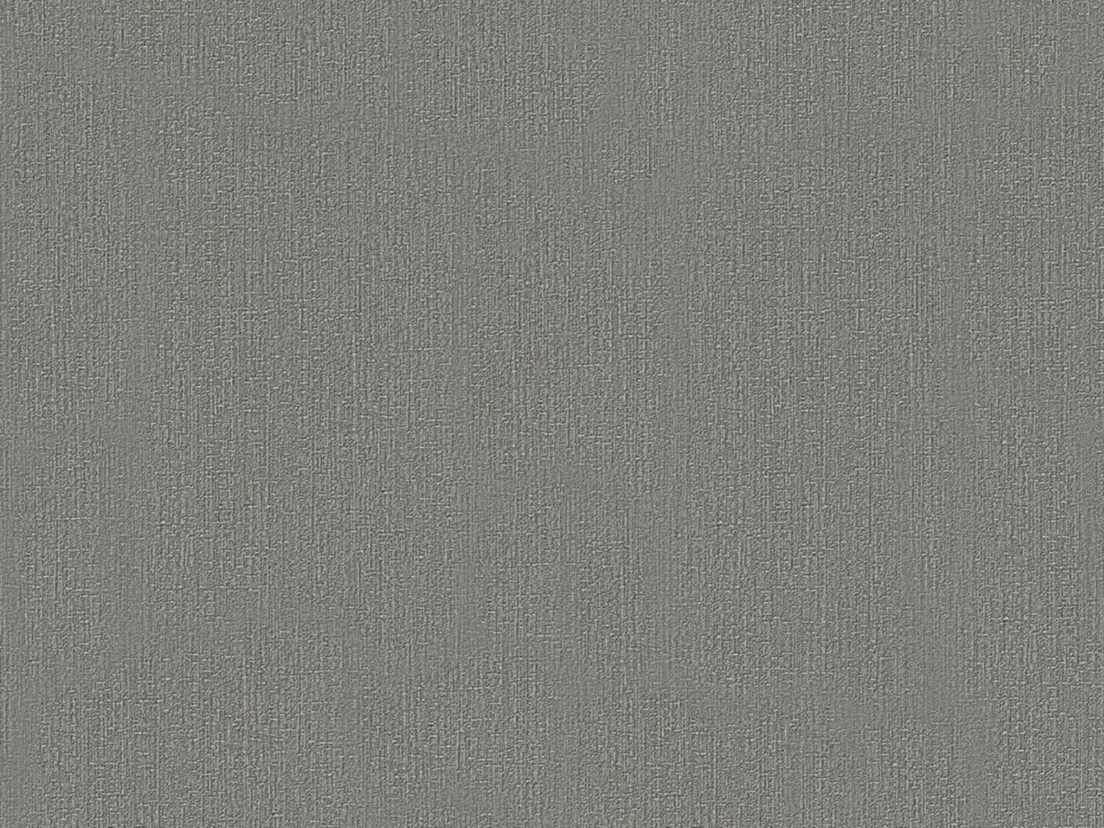 HookedOnWalls Terra Cotta Plain 2 - 42128