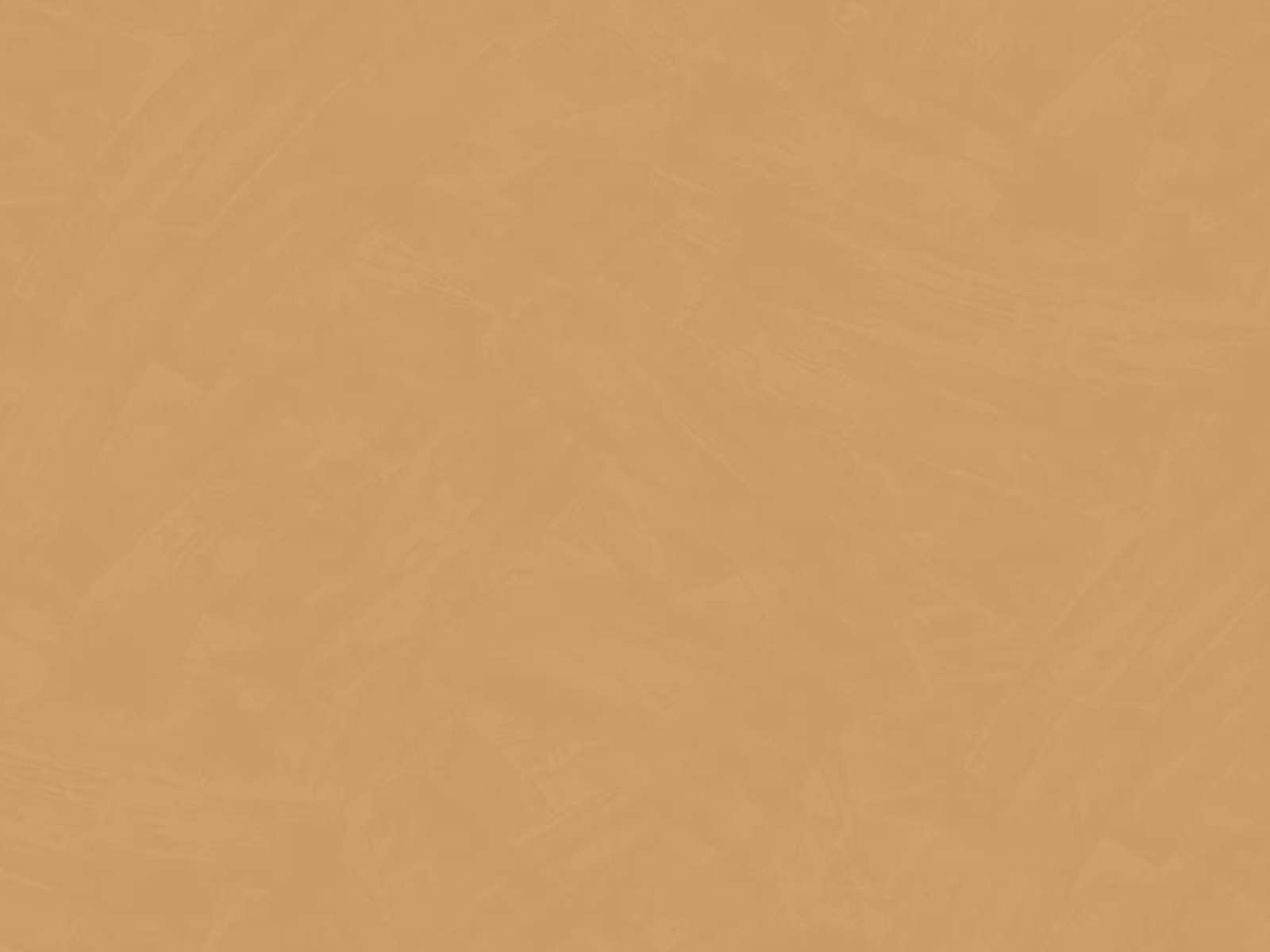 HookedOnWalls Passe Partout Tone On Tone - 4463