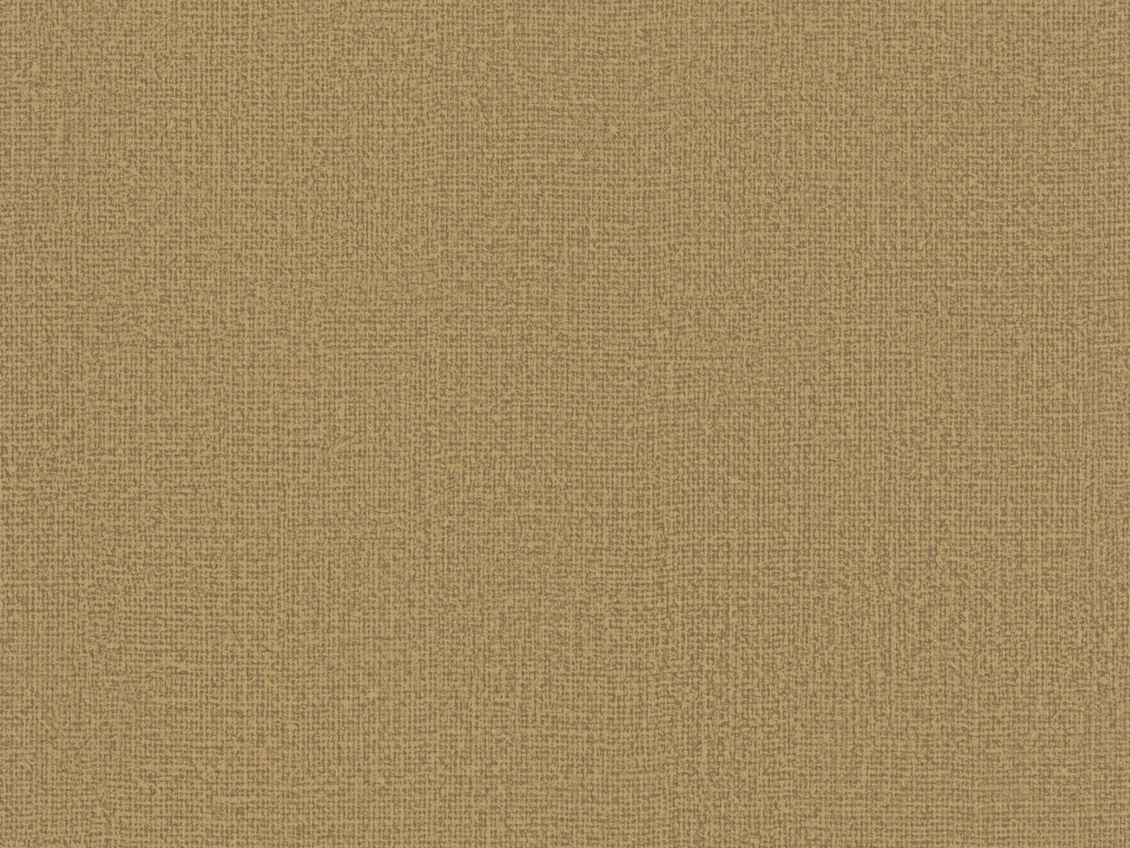 HookedOnWalls Passe Partout Tone On Tone - 4495