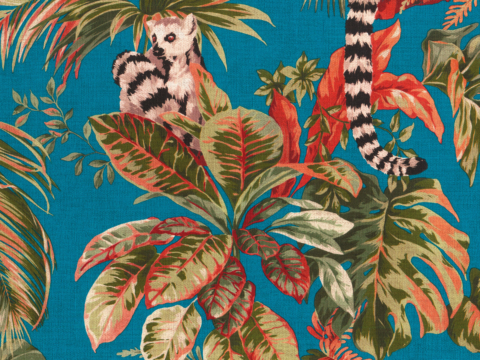 HookedOnWalls Lemuria Lemuri - 60602