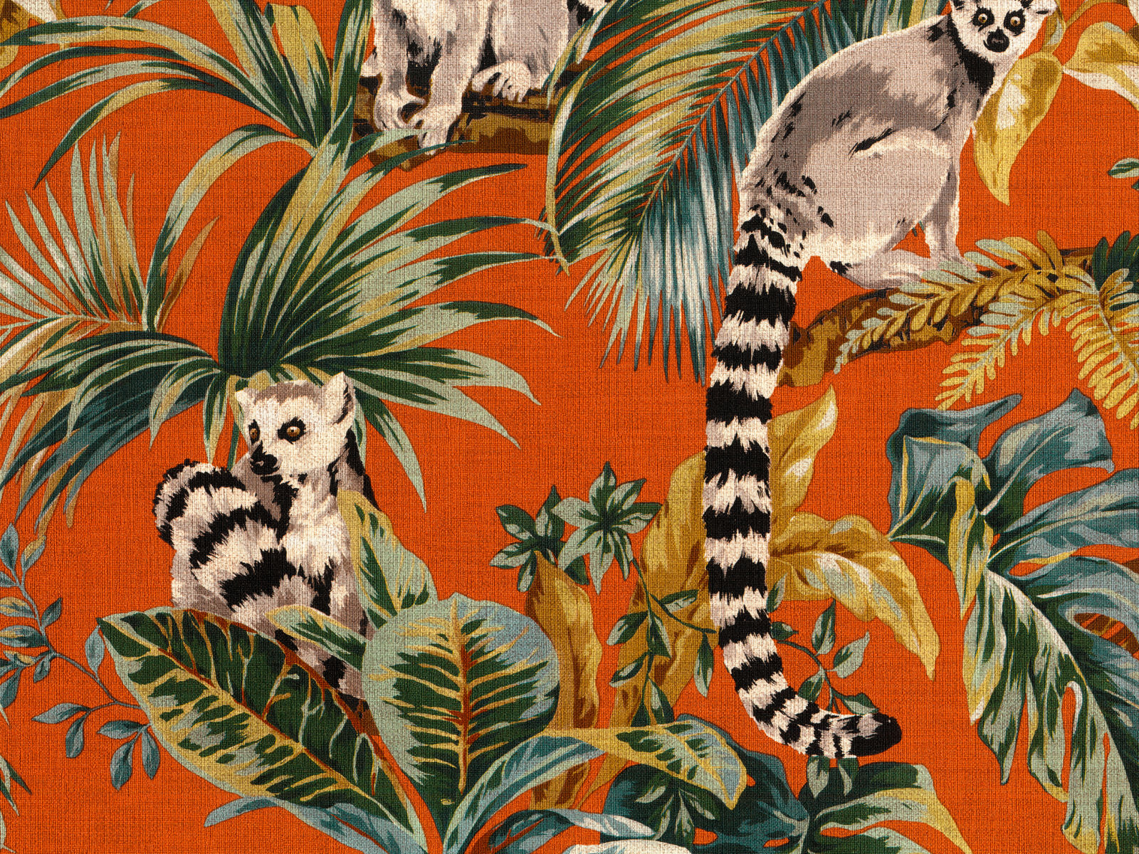 HookedOnWalls Lemuria Lemuri - 60603